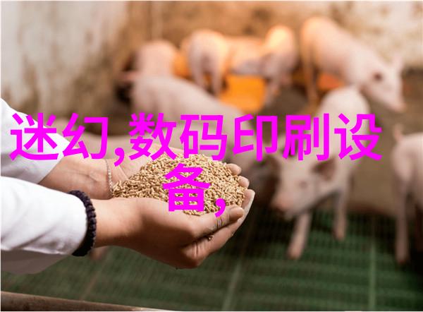 福田汽车配件批发市场我在这座古老的市场里找到了属于自己的小确幸