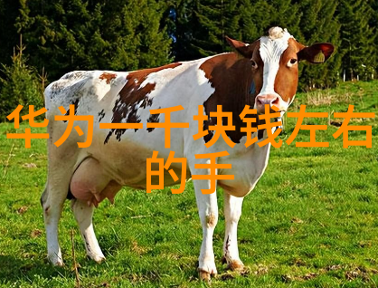 防腐材料-抗菌防护探索高效的建筑防腐材料
