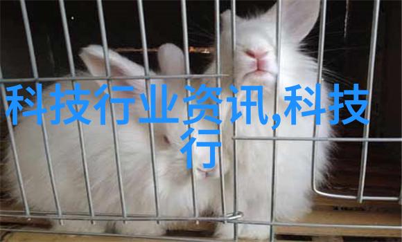 智能穿戴技术智能手表智能手环可穿戴健康监测设备