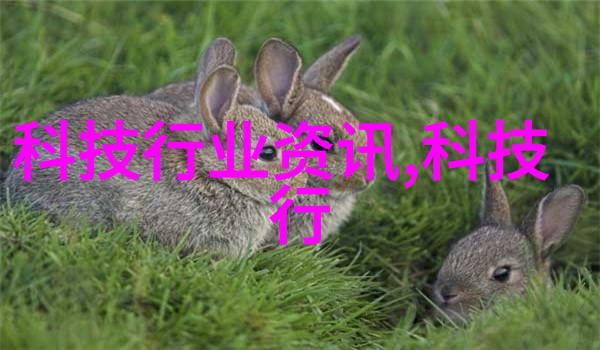 深入解析布袋除尘器内部精细结构图