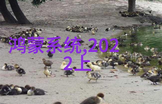 深圳职业技术学院培育未来工业4.0人才的摇篮