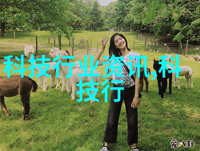 不锈钢喷头精准水力管理的坚固伙伴