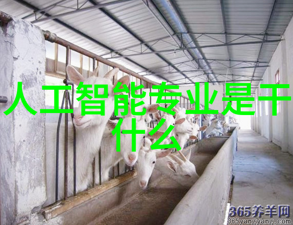如同今朝人间稀缺的智能手表千元之内的爆款推荐如何不为你倾心