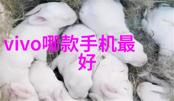 dn50金属环矩鞍填料hetp性能参数分析