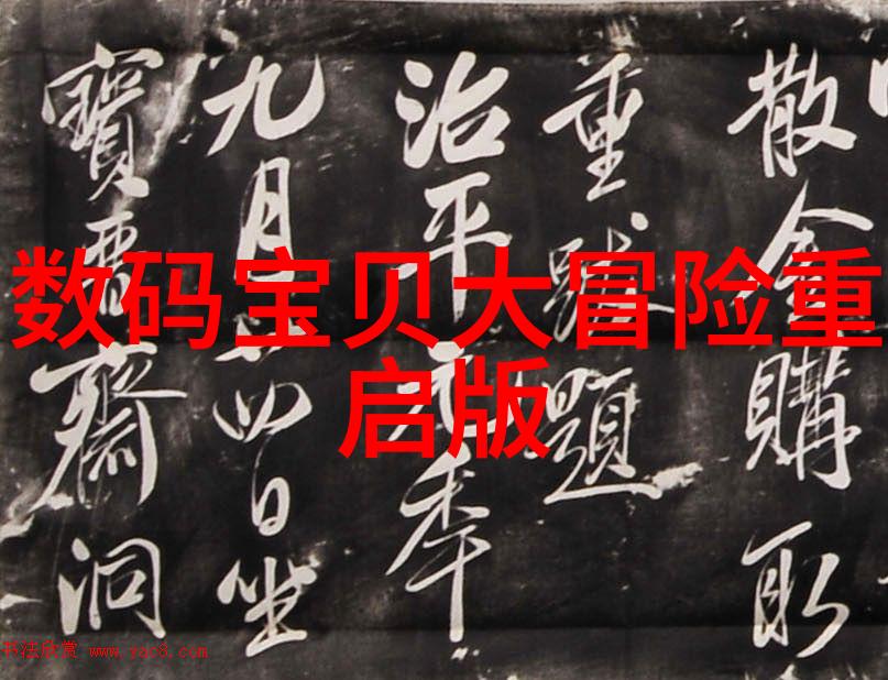 化工丸剂机械精细制备的艺术与科技融合