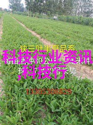 主题我是如何在家中用蒸汽换热器省下一大笔电费的