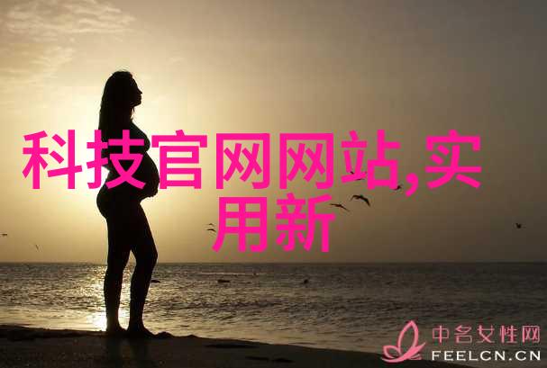 旧房改造装修图片大全家居美学的艺术变革