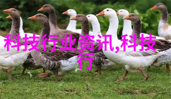 塑料型号大全揭秘PE材料的多样性与应用