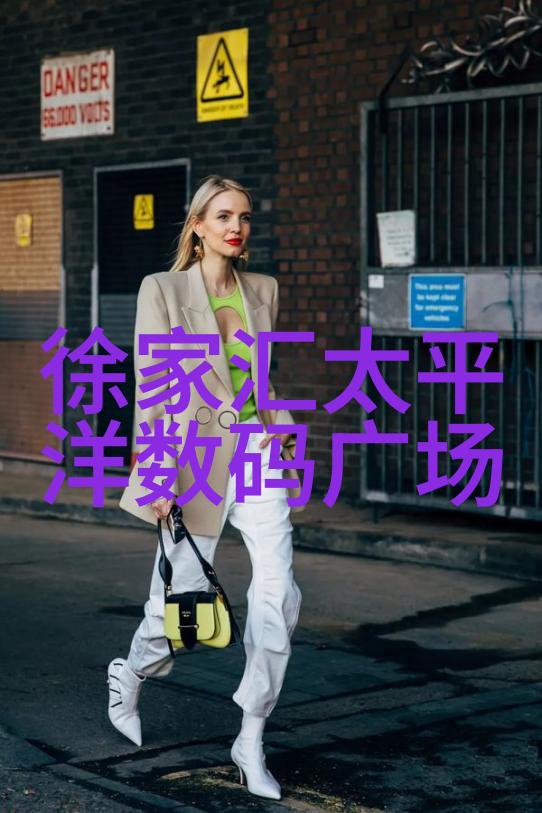 神秘奇幻-天神右翼的誓言揭秘txt世界的力量与责任