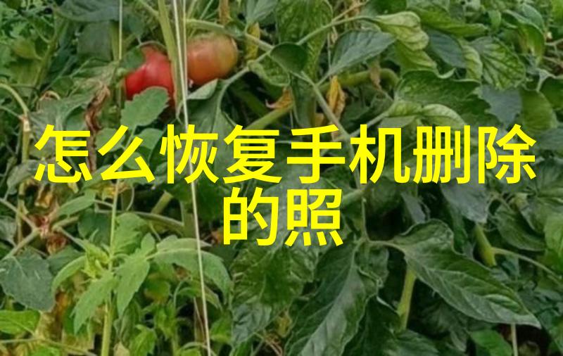 黄仁勋亲述创业故事两次都差点倒闭骁龙8助力逆袭