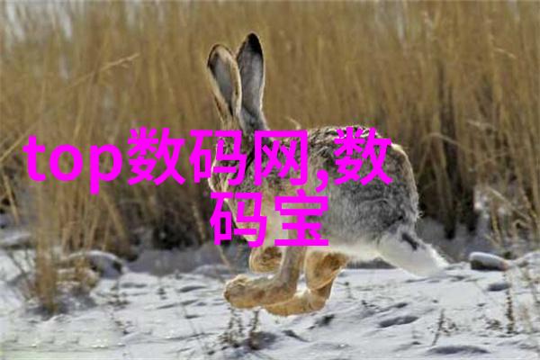 个性化空间DIY手工艺在家庭装修中的作用