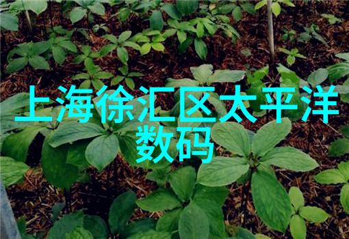 高效环保的垃圾焚烧炉生产厂家之道