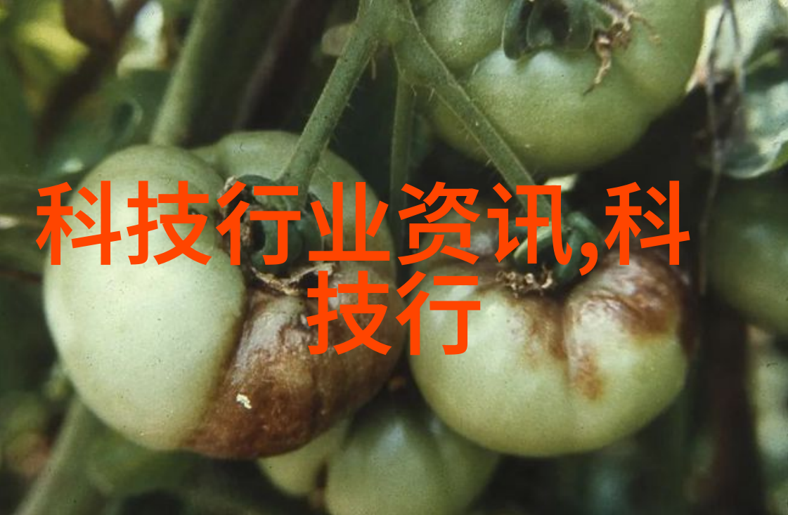 智网交通智能交通行业革新与未来趋势探究