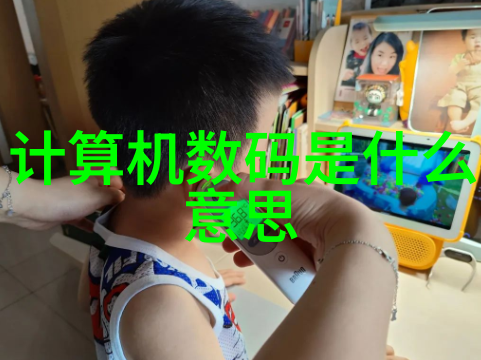 我来告诉你我是如何运用粉碎机设备的