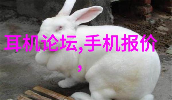 实验室用小型加热炉-微观世界的温暖火焰探索实验室用小型加热炉的应用与秘密