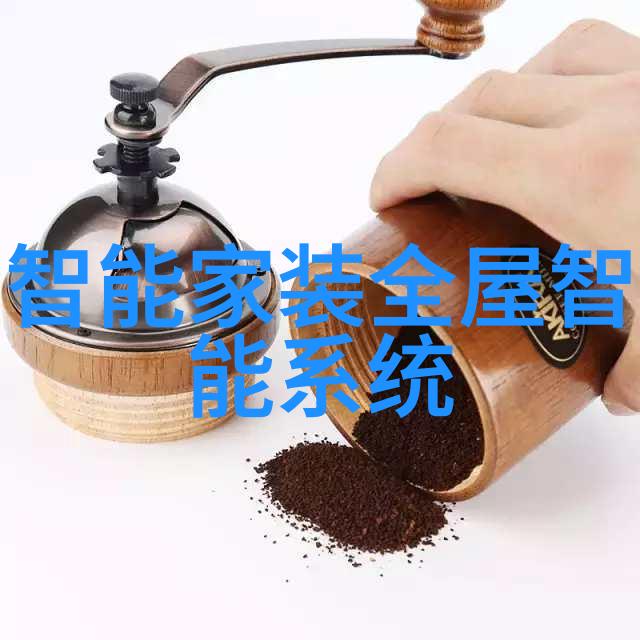DN50鲍尔环的应用与设计原则