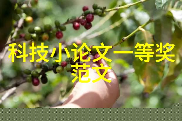 未来科技之城与古典学府的交响曲上海应用技术大学