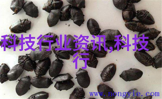 气力输送设备厂家提升效率与节能的关键技术提供者