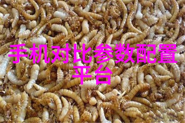 水源之谜揭开地下世界的污染秘密