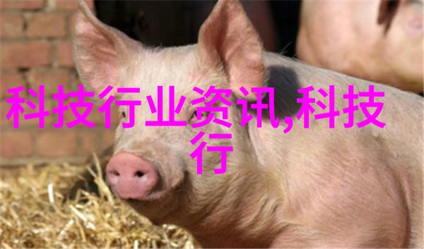 抖音相关负责人网传限制发布时政财经等内容为不实信息第一财经谈股论金事件未涉及