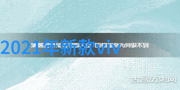 七零海岛日常生活趣事海滩钓鱼椰子树下午茶海岛小屋装饰