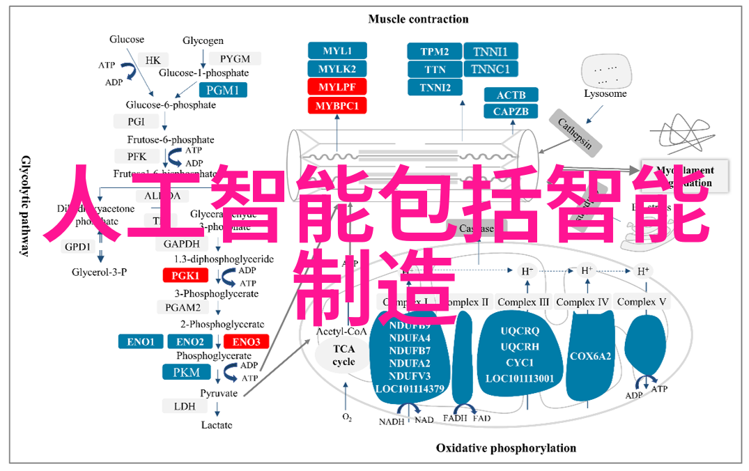 甜蜜探索奇妙水果的新篇章