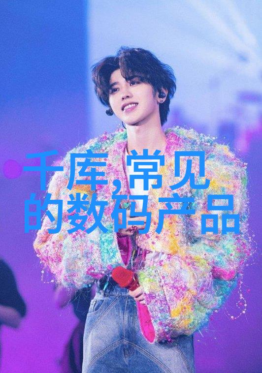 家居装修100个经典设计心得