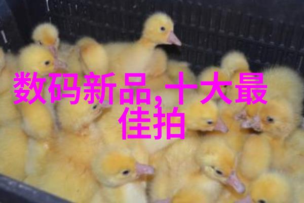 佛山装修风格探索传统与现代的交响篇章