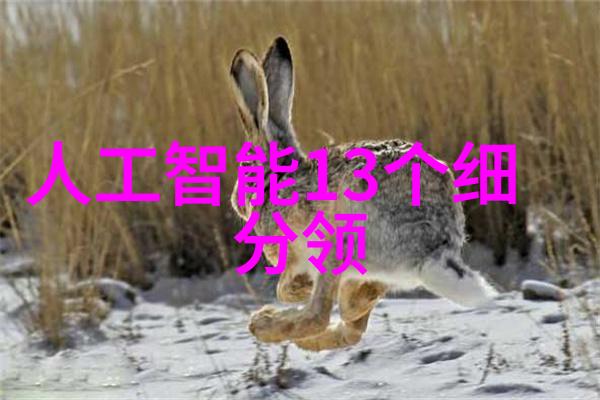 轻盈翩跹探索美妙的动感芭蕾世界