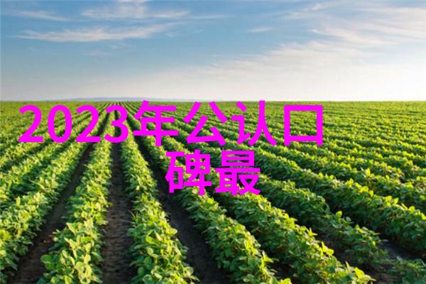 室内装修材料的丰富选择从地板到顶部打造完美居家空间