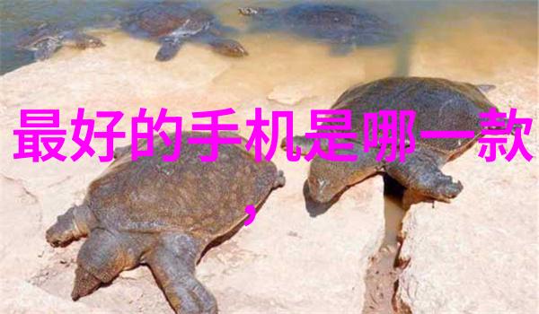 房屋装修细节选择合适的材料规划功能区考虑居住舒适度