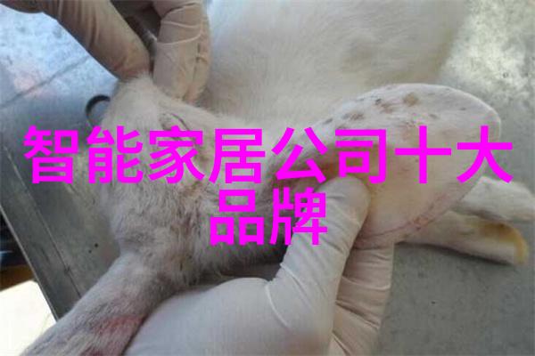 从经济角度分析投资于江苏巨能的新一代碟式离心机会带来哪些潜在利益