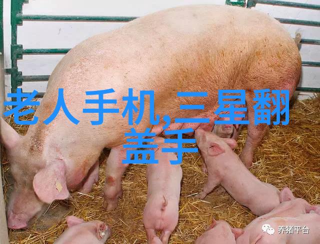 高性能丝网波纹填料在复杂流体处理中的应用探究