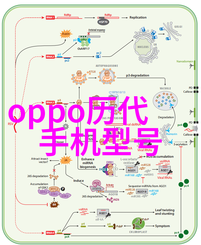 pp-r管材高性能聚丙烯抗静电输送管材
