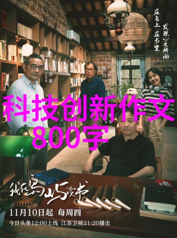 毛坯房装修指南从规划到完工的完整流程