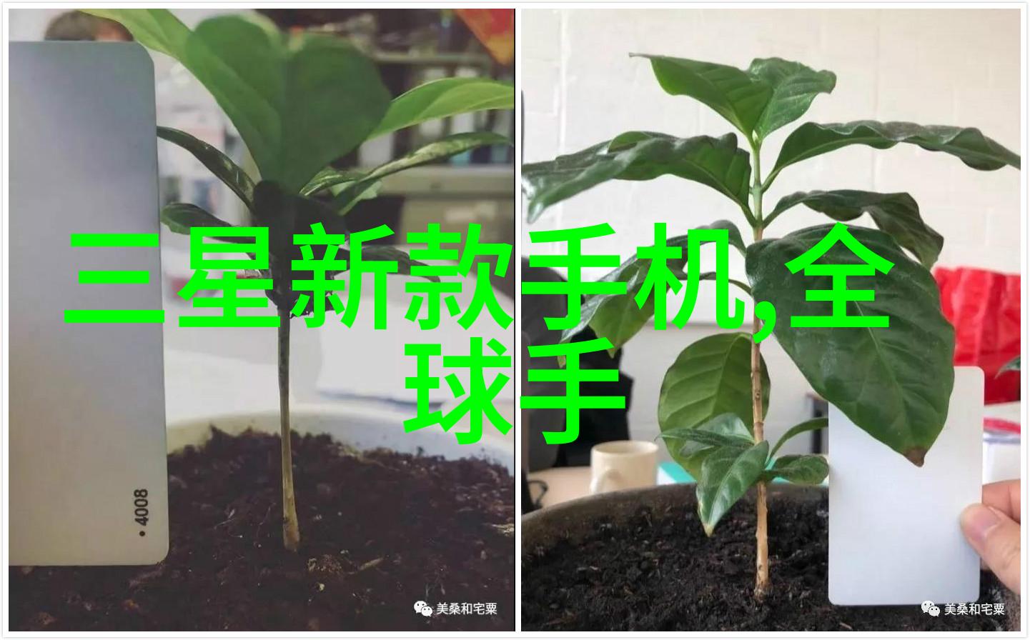 我们如何处理那些涉及到多个部门协调的特殊条款和条件以避免误差产生