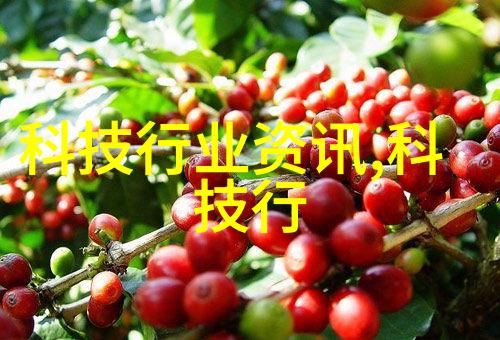 搞机time恶心软件下载免费不要app的-破解时间揭秘搞机时期的免费软件下载与无需应用商店的小技巧
