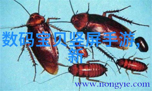郑州装修设计探究文化底蕴与现代审美的融合路径
