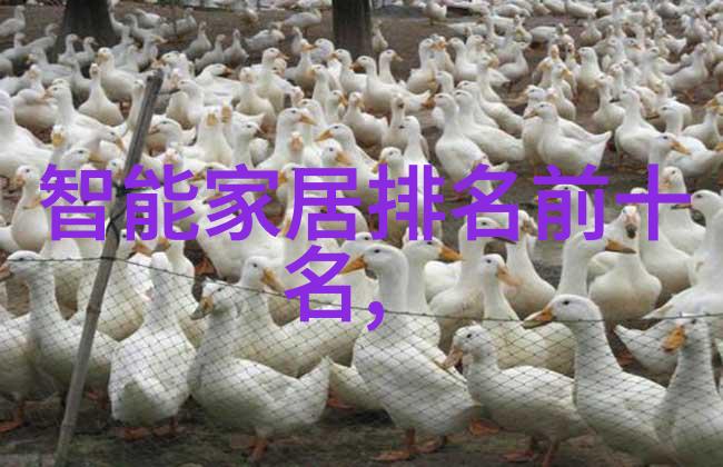 水处理公司在可持续发展中的角色与挑战