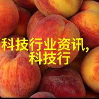 净制精粹探索食品加工的艺术与科技