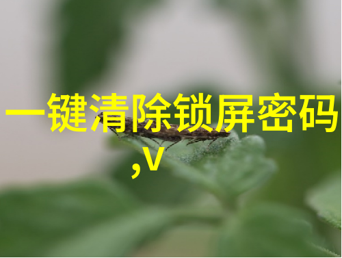 新一代高效螺旋输送机设备研发进展
