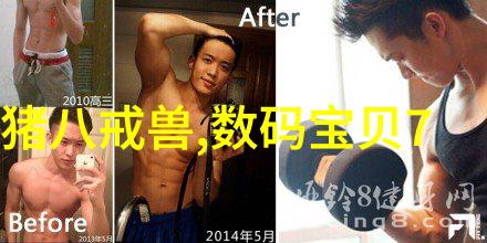三国演义权力与命运的交织