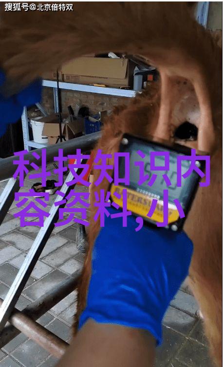 男生把大坤巴塞到女生的坤里一段奇妙的恋爱故事