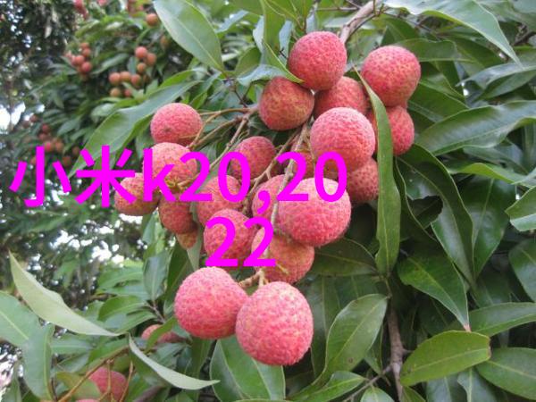 芯片梦碎揭秘集成电路设计行业的挑战与机遇