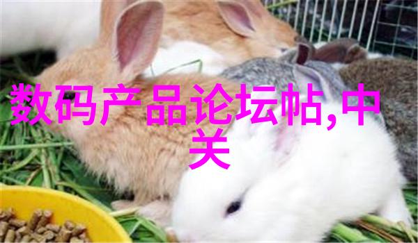 灭菌器种类详解选择适合你需要的消毒工具