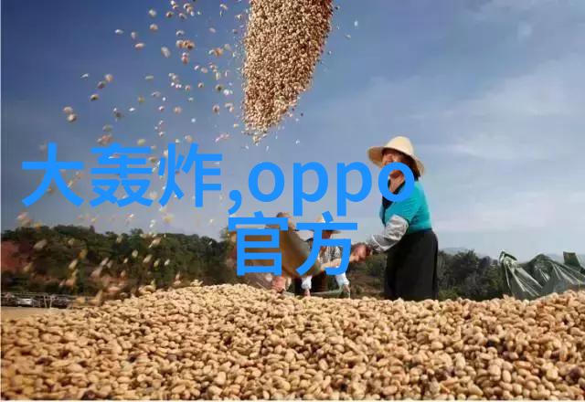 膜及膜组件我是如何一步步揭开膜的神秘面纱的