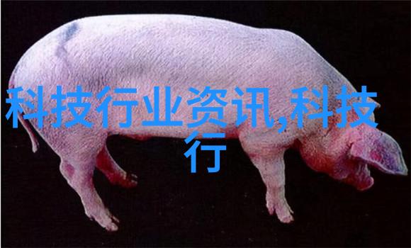 家庭室内装修设计图温馨的家居空间梦想