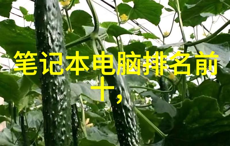 喷漆房里的水帘柜秘密探索视频背后的创意与技巧