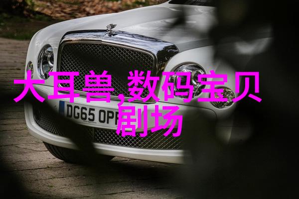 公交车后座疯狂细节乘客日常的不为人知之处