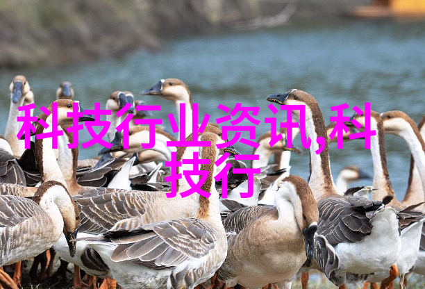 防腐保护流线之心的守护者